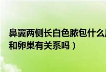鼻翼兩側(cè)長白色膿包什么原因引起（鼻翼兩側(cè)長白色的膿痘和卵巢有關(guān)系嗎）