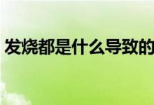 發(fā)燒都是什么導(dǎo)致的（發(fā)燒都是什么引起的）