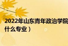 2022年山東青年政治學(xué)院在山東招生計(jì)劃及招生人數(shù)（都招什么專(zhuān)業(yè)）