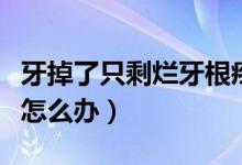 牙掉了只剩爛牙根疼怎么辦（牙爛到只剩牙根怎么辦）