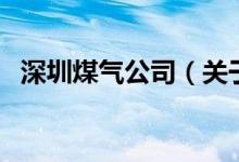 深圳煤氣公司（關(guān)于深圳煤氣公司的介紹）