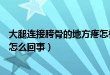 大腿連接胯骨的地方疼怎樣處理好（大腿連接胯骨的地方疼怎么回事）