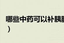 哪些中藥可以補(bǔ)胰臟（哪些中藥可以補(bǔ)腎壯陽(yáng)）