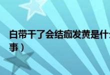 白帶干了會結(jié)痂發(fā)黃是什么原因（白帶干了發(fā)黃結(jié)痂怎么回事）