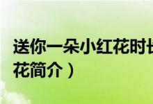 送你一朵小紅花時長多少分鐘（送你一朵小紅花簡介）
