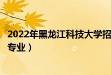 2022年黑龍江科技大學(xué)招生計(jì)劃及招生人數(shù)（各省都招什么專業(yè)）