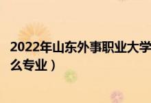 2022年山東外事職業(yè)大學(xué)招生計劃及招生人數(shù)（各省都招什么專業(yè)）