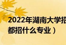 2022年湖南大學(xué)招生計(jì)劃及招生人數(shù)（各省都招什么專業(yè)）