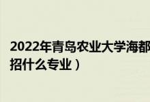 2022年青島農(nóng)業(yè)大學(xué)海都學(xué)院招生計(jì)劃及招生人數(shù)（各省都招什么專(zhuān)業(yè)）