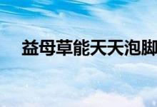 益母草能天天泡腳嗎（益母草能流產(chǎn)嗎）
