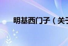 明基西門子（關于明基西門子的介紹）