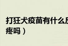打狂犬疫苗有什么反應(yīng)和副作用（打狂犬疫苗疼嗎）