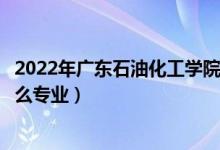 2022年廣東石油化工學(xué)院招生計劃及招生人數(shù)（各省都招什么專業(yè)）