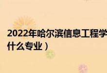 2022年哈爾濱信息工程學院招生計劃及招生人數(shù)（各省都招什么專業(yè)）