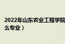 2022年山東農(nóng)業(yè)工程學(xué)院招生計(jì)劃及招生人數(shù)（各省都招什么專(zhuān)業(yè)）