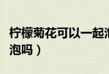 檸檬菊花可以一起泡水嗎（檸檬菊花可以一起泡嗎）