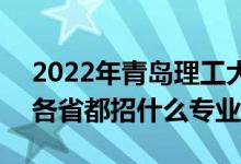 2022年青島理工大學(xué)招生計(jì)劃及招生人數(shù)（各省都招什么專業(yè)）
