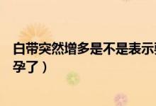 白帶突然增多是不是表示要排卵了（白帶突然增多是不是懷孕了）