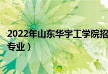 2022年山東華宇工學(xué)院招生計(jì)劃及招生人數(shù)（各省都招什么專業(yè)）