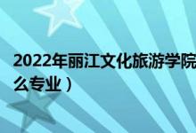 2022年麗江文化旅游學(xué)院招生計劃及招生人數(shù)（各省都招什么專業(yè)）