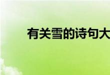 有關(guān)雪的詩句大全（有關(guān)雪的詩句）