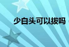 少白頭可以拔嗎（少白頭可以根治嗎）