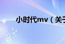 小時代mv（關于小時代mv的介紹）