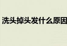 洗頭掉頭發(fā)什么原因（洗頭掉頭發(fā)什么原因）