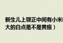 新生兒上顎正中間有小米粒大的白點(diǎn)（新生兒上顎有小米粒大的白點(diǎn)是不是黃疸）