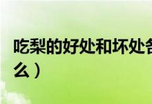 吃梨的好處和壞處各是什么（吃梨的好處是什么）