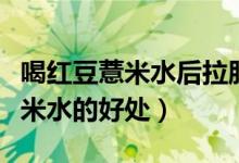 喝紅豆薏米水后拉肚子是在排濕嗎（喝紅豆薏米水的好處）