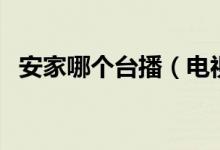 安家哪個臺播（電視劇《安家》播放信息）