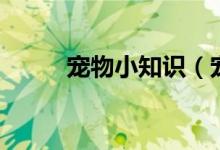 寵物小知識（寵物小知識有什么）