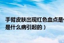 手臂皮膚出現(xiàn)紅色血點(diǎn)是什么原因（手臂皮膚上有小紅血點(diǎn)是什么病引起的）