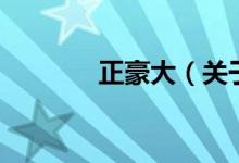正豪大（關(guān)于正豪大的介紹）