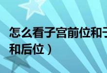 怎么看子宮前位和子宮后位（怎么看子宮前位和后位）