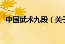 中國武術九段（關于中國武術九段的介紹）