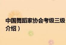 中國舞蹈家協(xié)會考級三級（關(guān)于中國舞蹈家協(xié)會考級三級的介紹）