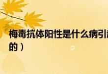 梅毒抗體陽性是什么病引起的（梅毒抗體陽性是什么病引起的）