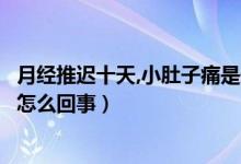 月經(jīng)推遲十天,小肚子痛是什么原因（月經(jīng)推遲十天小腹疼是怎么回事）