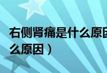 右側(cè)腎痛是什么原因造成的（右側(cè)腎區(qū)痛是什么原因）