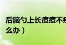 后腦勺上長(zhǎng)痘痘不疼不癢（后腦勺上長(zhǎng)痘痘怎么辦）