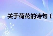 關(guān)于荷花的詩(shī)句(關(guān)于荷花的詩(shī)句推薦)