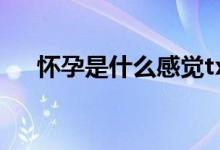 懷孕是什么感覺txt（懷孕是什么感覺）