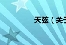 天弦（關(guān)于天弦的介紹）