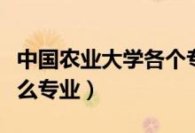 中國(guó)農(nóng)業(yè)大學(xué)各個(gè)專業(yè)（中國(guó)農(nóng)業(yè)大學(xué)都有什么專業(yè)）