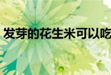 發(fā)芽的花生米可以吃嗎（發(fā)芽的花生能吃嗎）