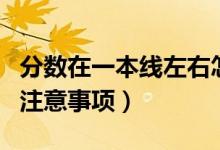 分數在一本線左右怎么報考（壓線考生報考的注意事項）