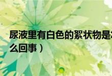 尿液里有白色的絮狀物是怎么回事（尿中有白色絮狀物是怎么回事）