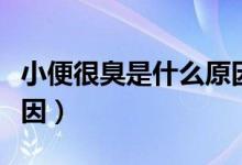 小便很臭是什么原因男性（小便很臭是什么原因）